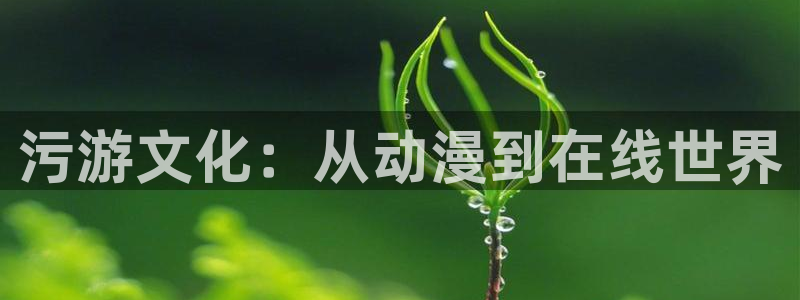 51动漫最新网址