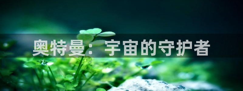 51动漫旧版本安装包